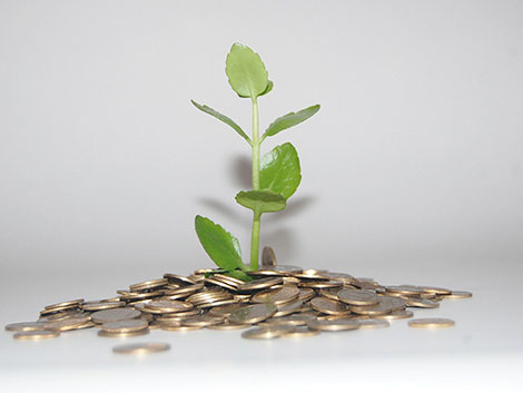 网页电话直接拨打